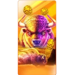 Buffalo
King